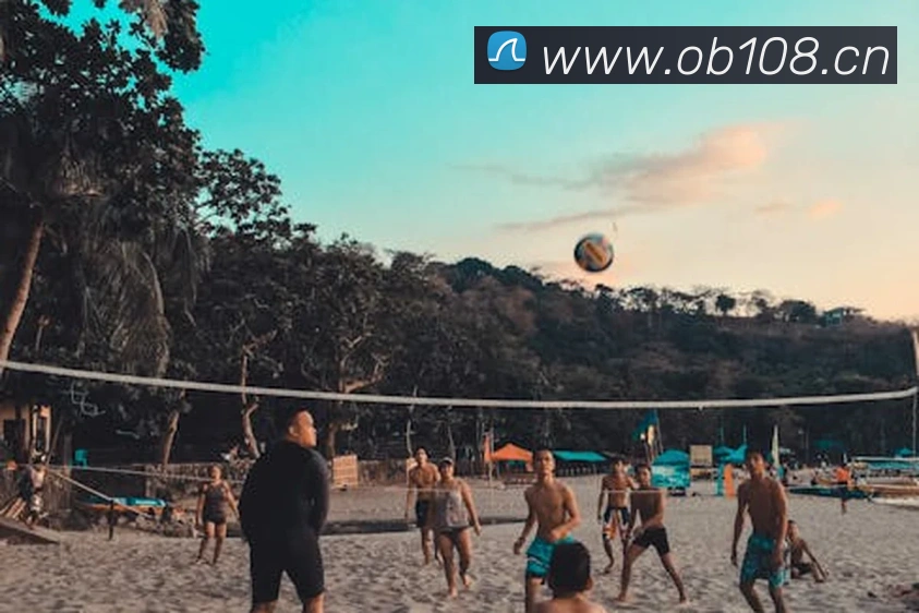 爱游戏ayx官方网发展历程